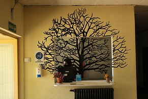 Hostel Arrayan
