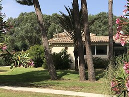 Prea Gianca