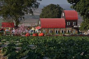 MiCO Hill Resort