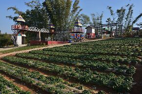 MiCO Hill Resort