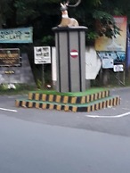 Menjangan Hostel