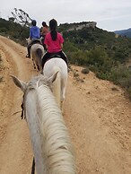 Serra de Prades Resort - Campsite