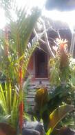 Dewi Antara Homestay