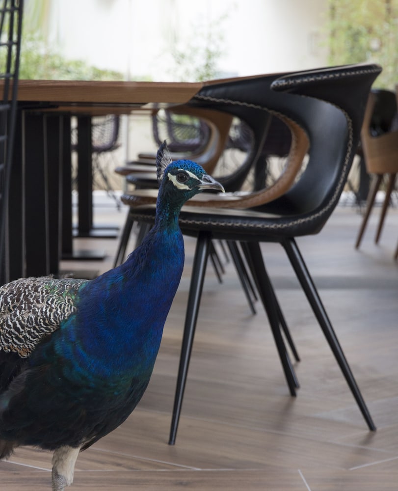 Time Boutique Hotel