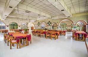 Jungle King Resort