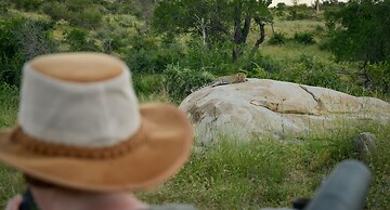 Lion Sands Ivory Lodge
