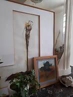 Chambres d'Hotes O Anges