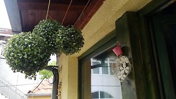 Downtown Duplex