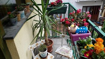Downtown Duplex
