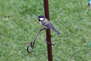 Riverfield Bed and Breakfast