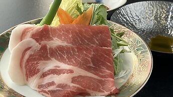Kurhouse Shirahama
