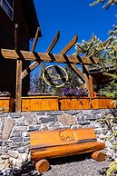 A Bear and Bison Inn