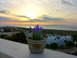 Panorama View