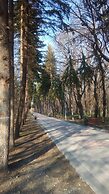 Park & House Hotel