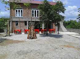 Cuc Phuong Bungalow