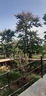 Green Bamboo Lodge