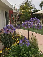Dali Suites – Accommodations in Playas de Tijuana