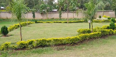 Lantana Comfy