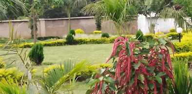 Lantana Comfy