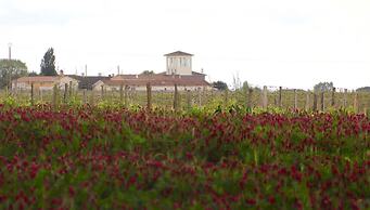 Chateau Trillon