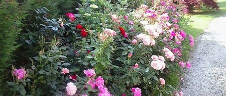 Green Rose bed and breakfast