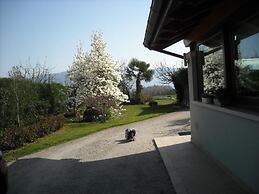Green Rose bed and breakfast