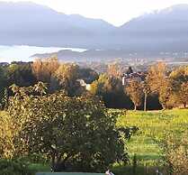 Green Rose bed and breakfast
