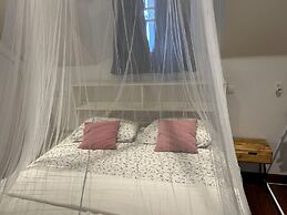 Asteria Studios