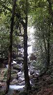 Rainforest Yasmin Hotel
