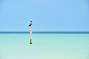 Soho Boutique Holbox - Adults Only