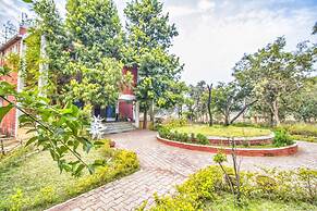Tribal Wood Resort