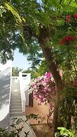 La bougain Villa
