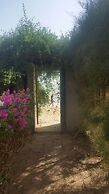 La bougain Villa
