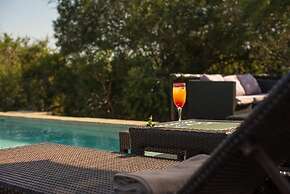 Vuyani Safari Lodge