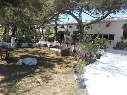 Atlitur Gumusdere Beach Camp