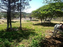 Atlitur Gumusdere Beach Camp