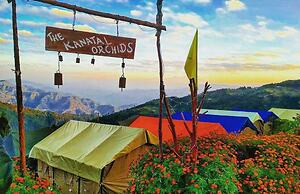 The Kanatal Orchids