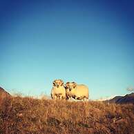 Dynjandi Farm Holidays