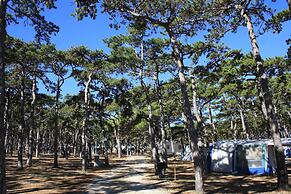 Kamp Planik- Campsite