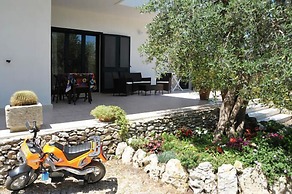 Vacanze al Minci
