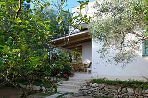 Vacanze al Minci