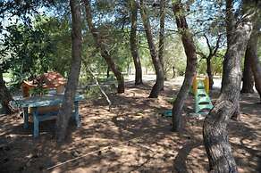 Vacanze al Minci