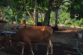INDIMASI - Ayurveda & Healing Village