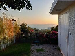 Perle De Cabo