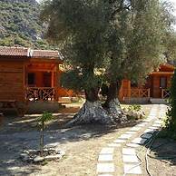 Dream Garden Evleri