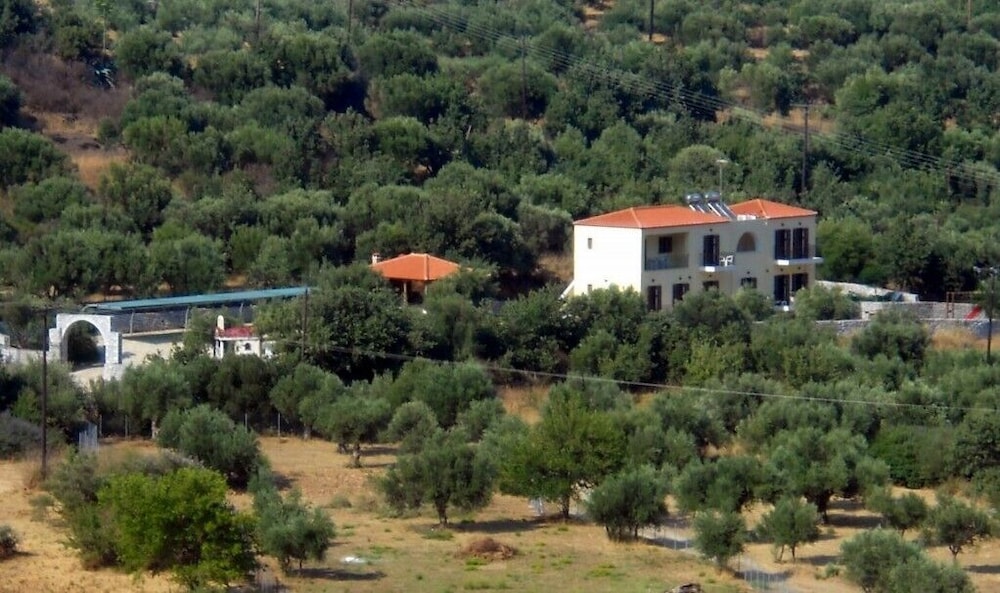 Domaine Papakonstantis