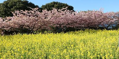 Kamenoi Hotel Atami