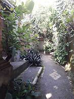 Widi House