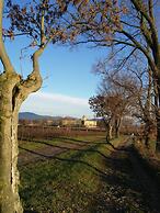 B&B Cascina San Martino