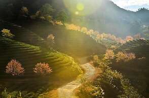 Sapa Dao Homestay